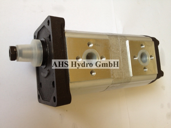 Hydraulikpumpe David Brown